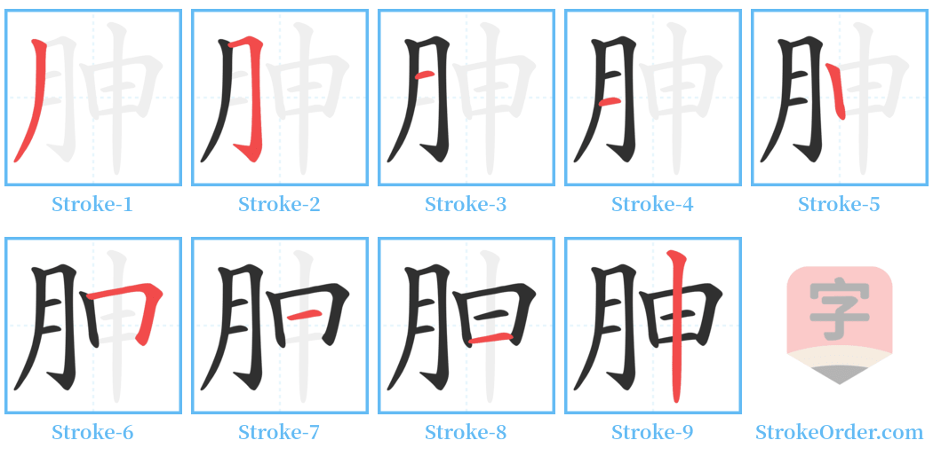 胂 Stroke Order Diagrams