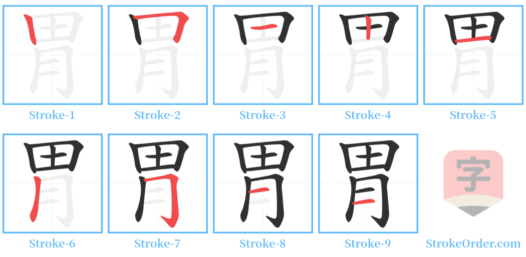 胃 Stroke Order Diagrams