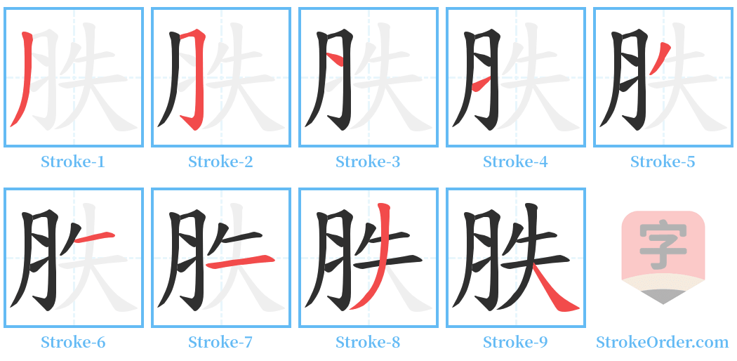 胅 Stroke Order Diagrams