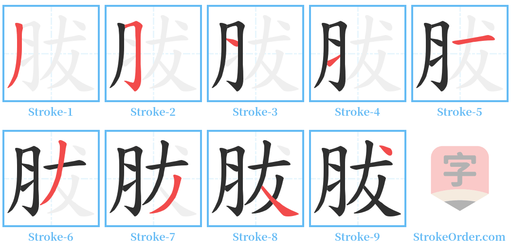 胈 Stroke Order Diagrams