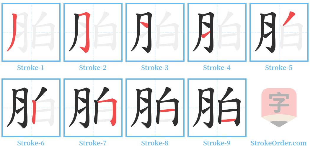 胉 Stroke Order Diagrams