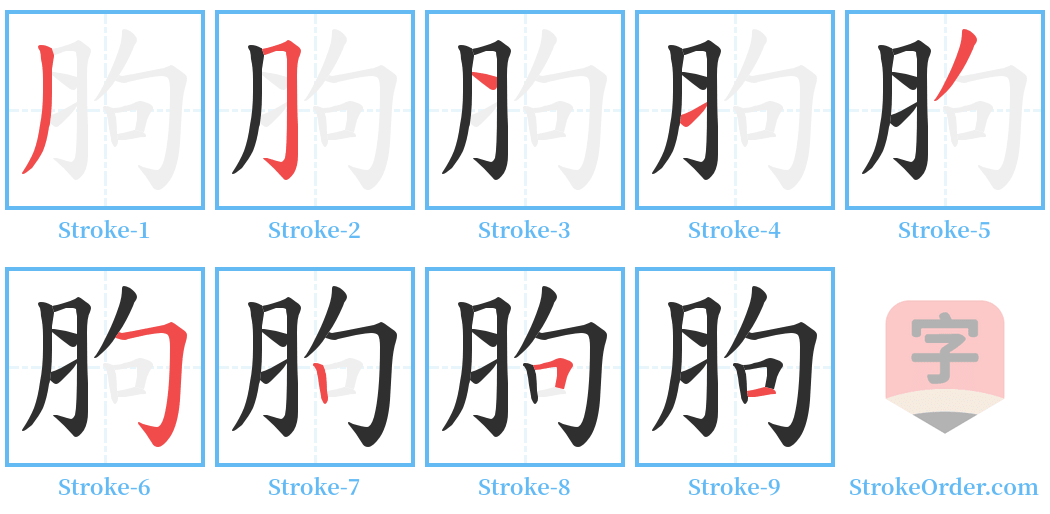 胊 Stroke Order Diagrams
