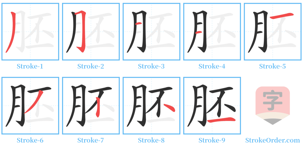 胚 Stroke Order Diagrams