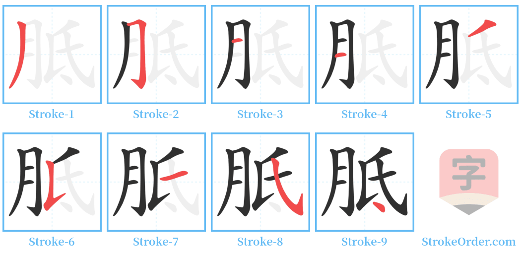 胝 Stroke Order Diagrams