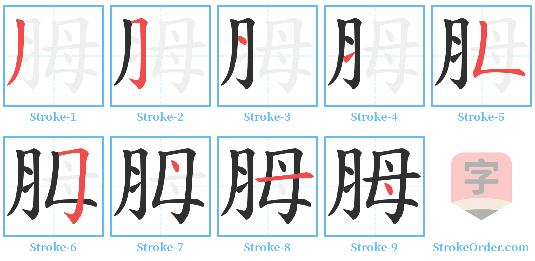 胟 Stroke Order Diagrams