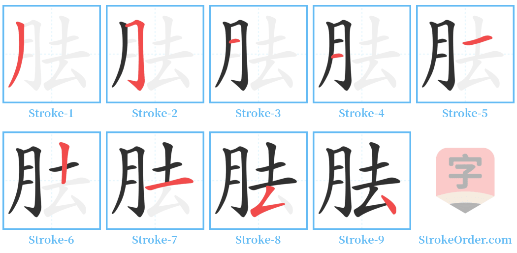胠 Stroke Order Diagrams