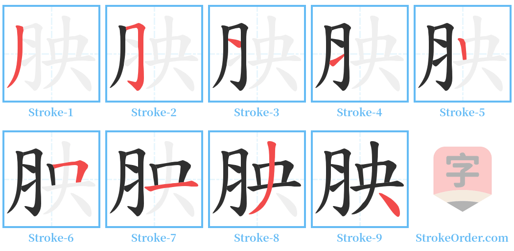 胦 Stroke Order Diagrams