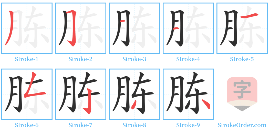 胨 Stroke Order Diagrams