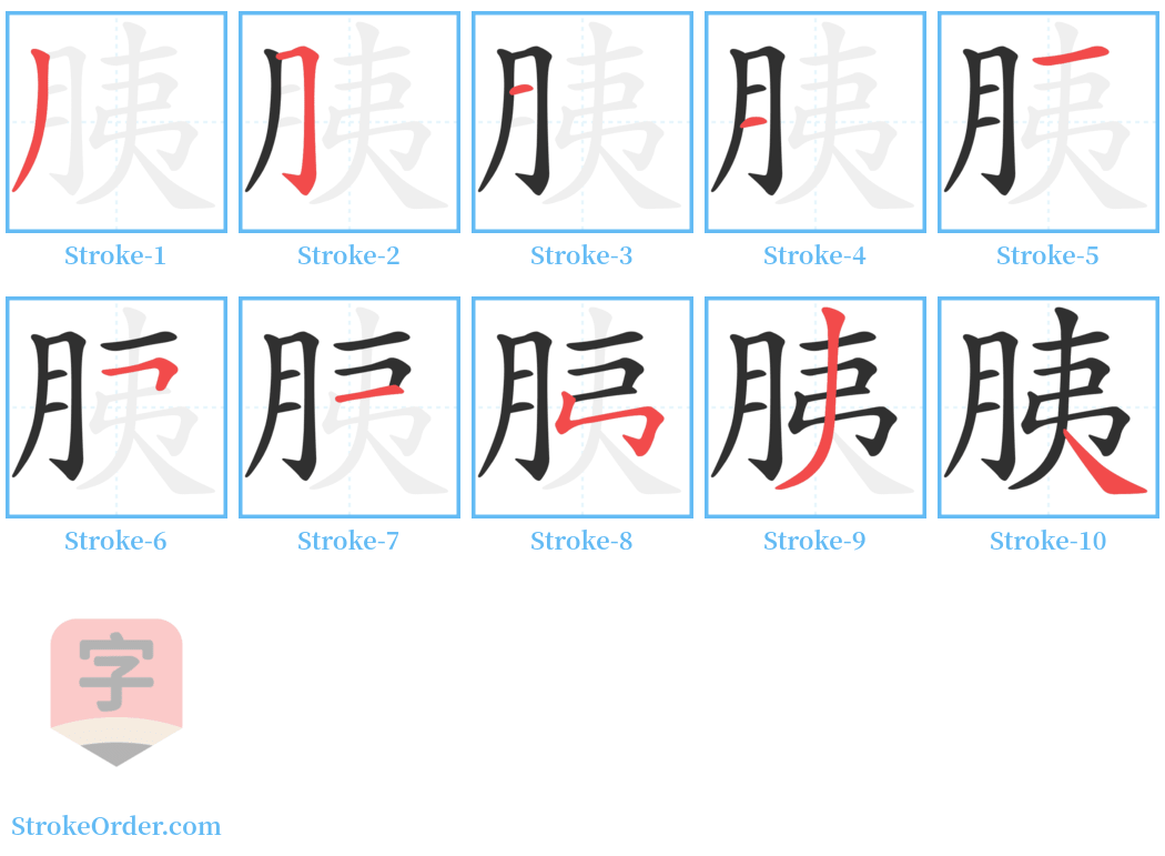 胰 Stroke Order Diagrams