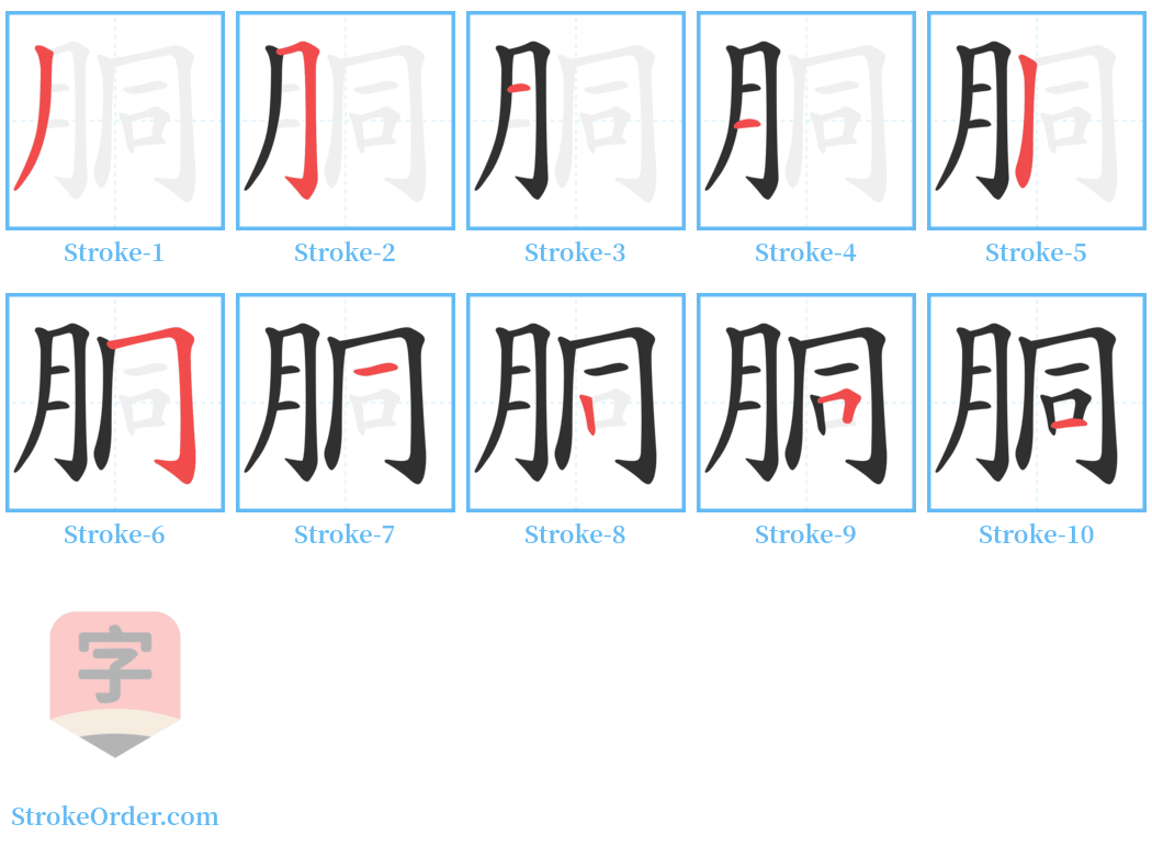 胴 Stroke Order Diagrams