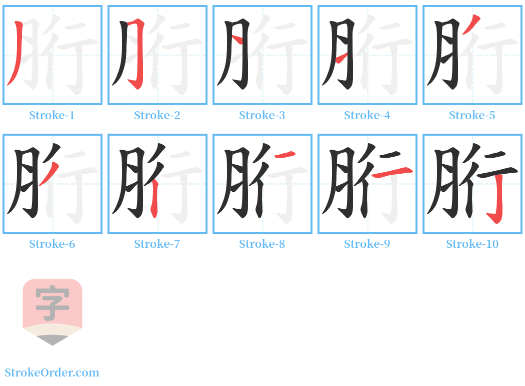 胻 Stroke Order Diagrams