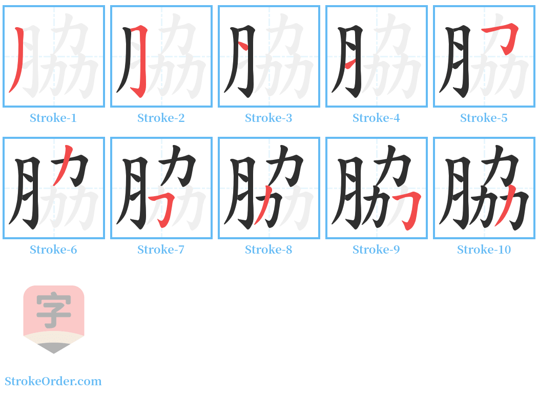 脇 Stroke Order Diagrams