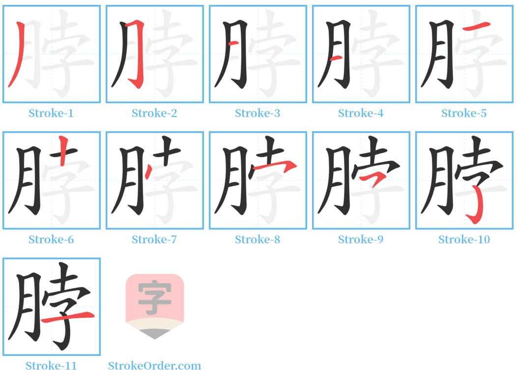 脖 Stroke Order Diagrams