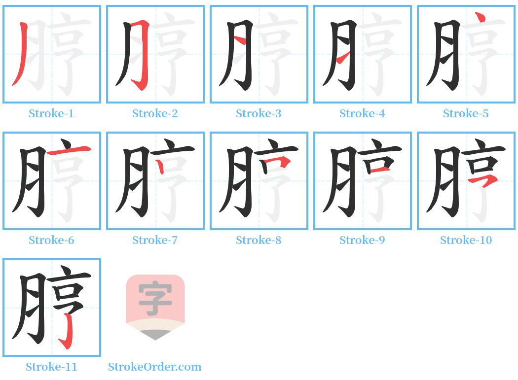 脝 Stroke Order Diagrams