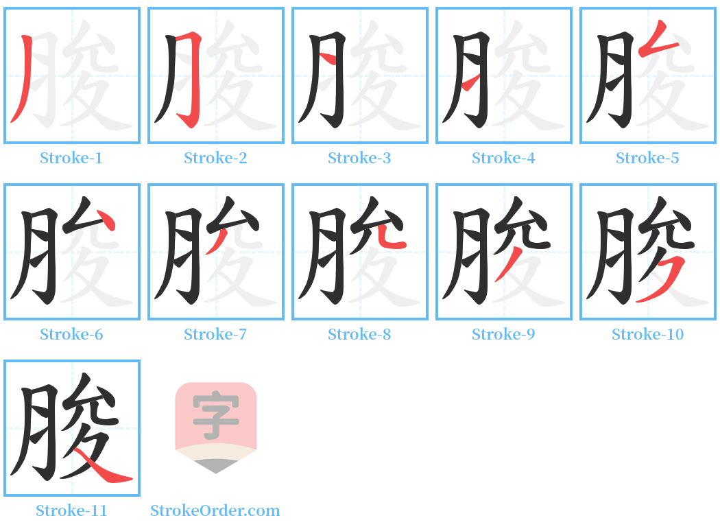 脧 Stroke Order Diagrams