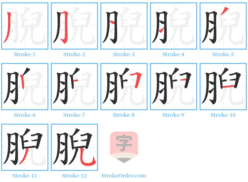 腉 Stroke Order Diagrams