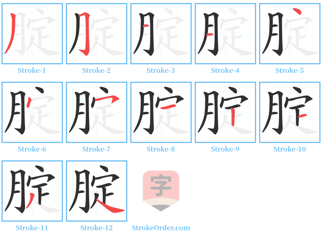 腚 Stroke Order Diagrams