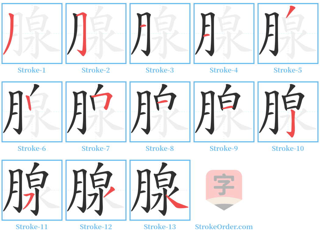 腺 Stroke Order Diagrams