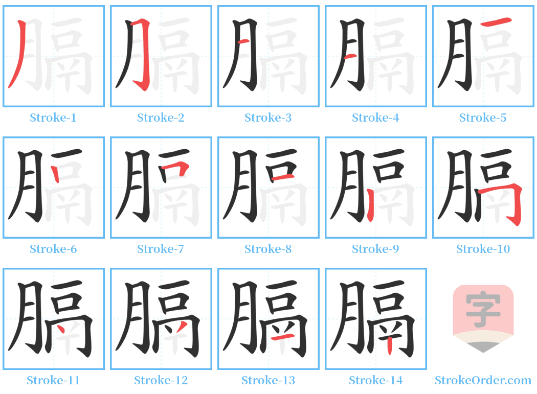 膈 Stroke Order Diagrams