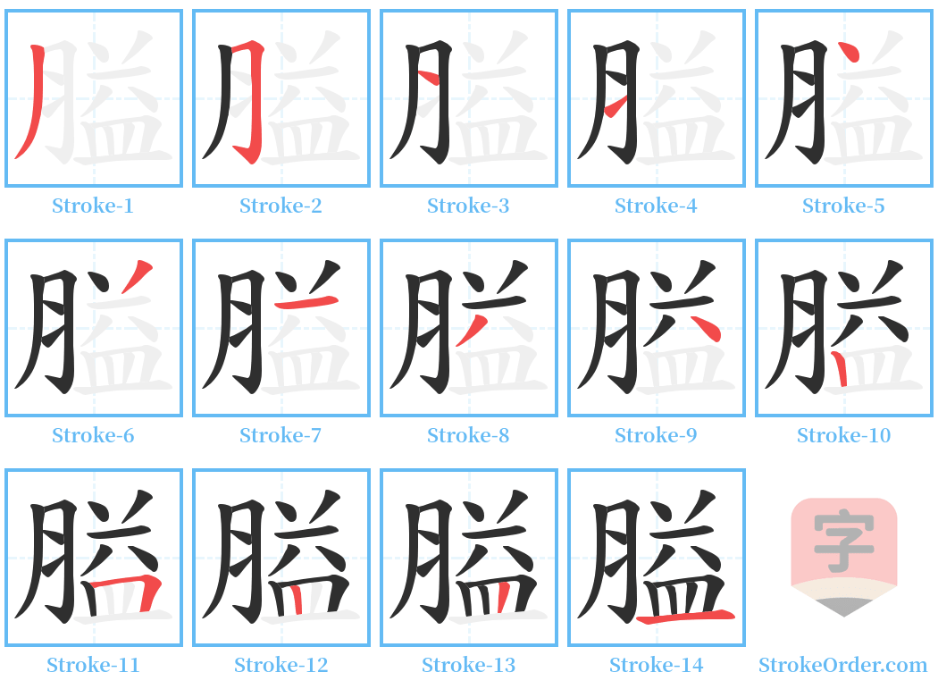 膉 Stroke Order Diagrams