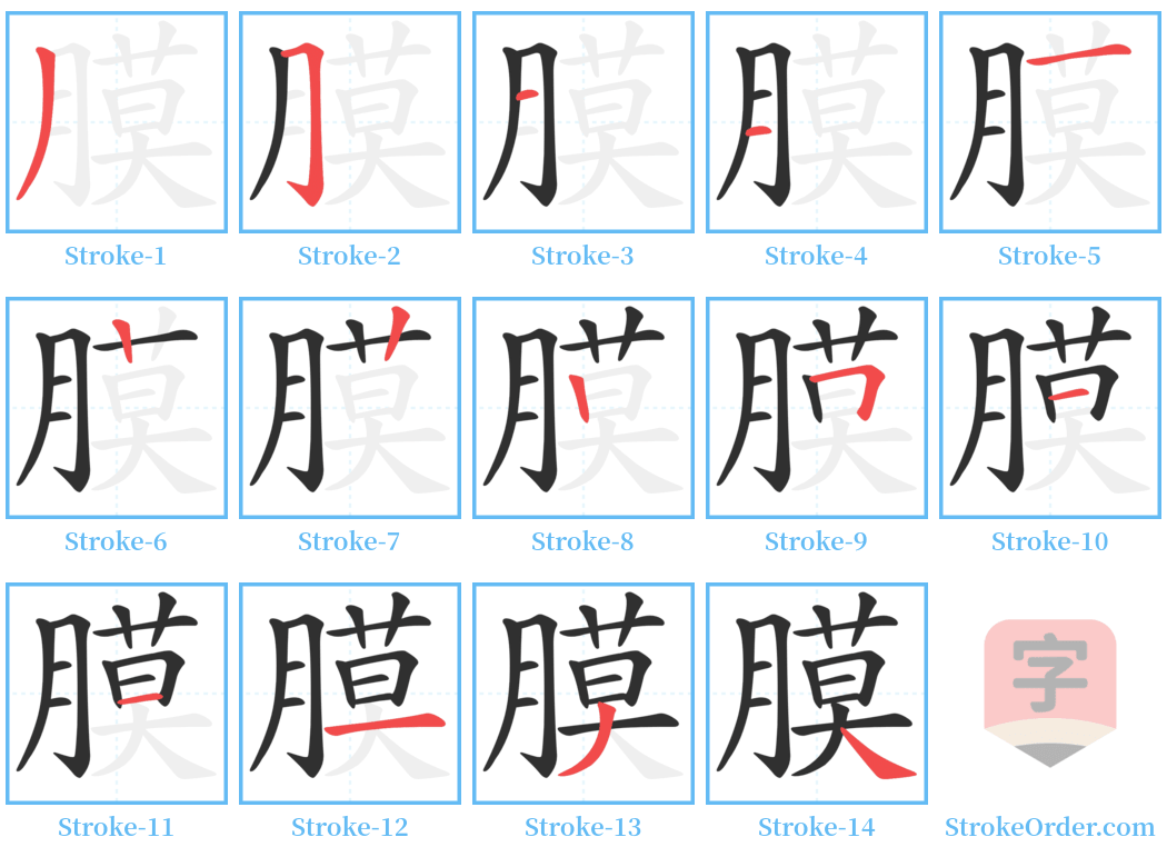 膜 Stroke Order Diagrams