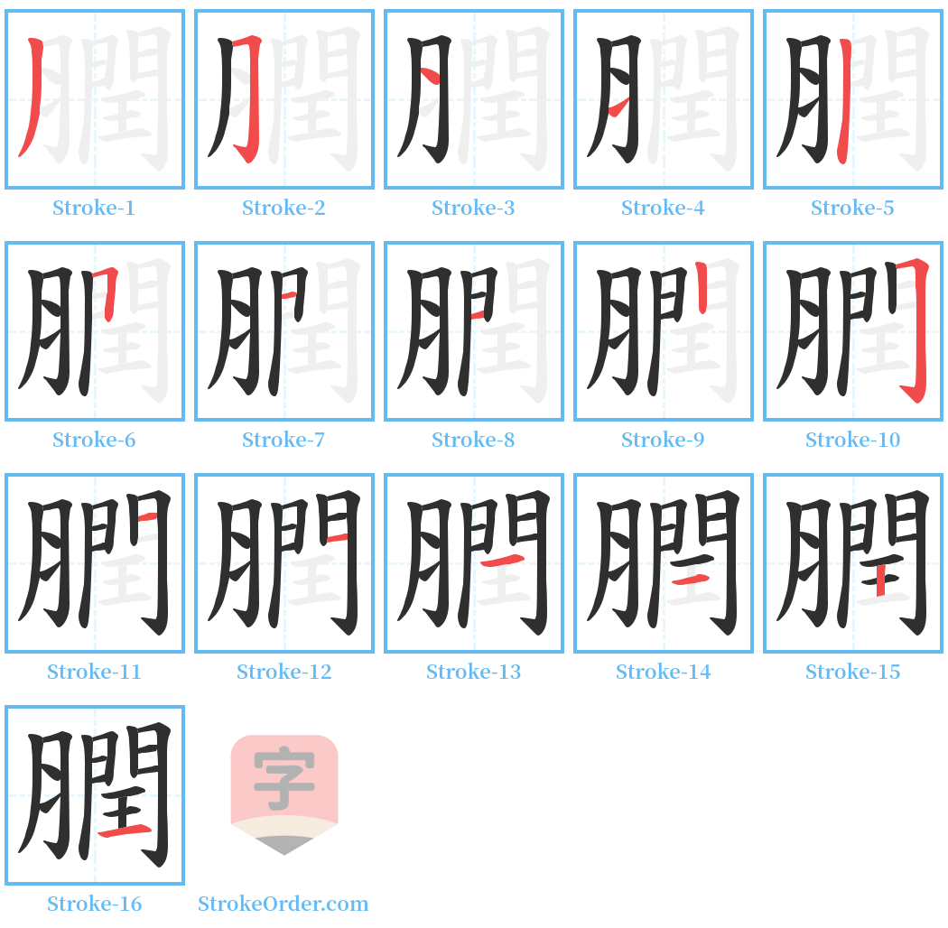 膶 Stroke Order Diagrams