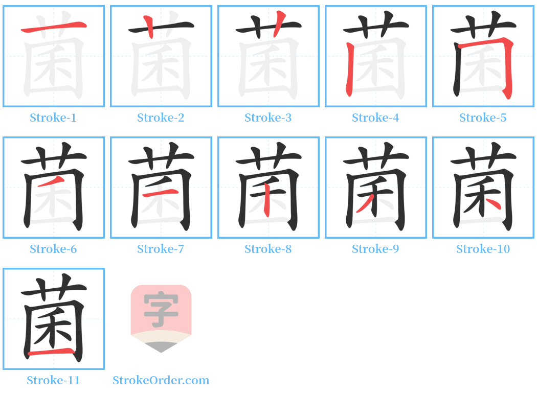 菌 Stroke Order Diagrams