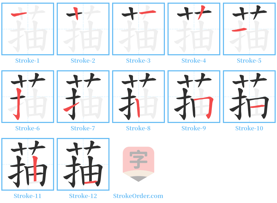 菗 Stroke Order Diagrams