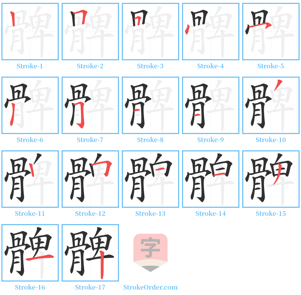 髀 Stroke Order Diagrams