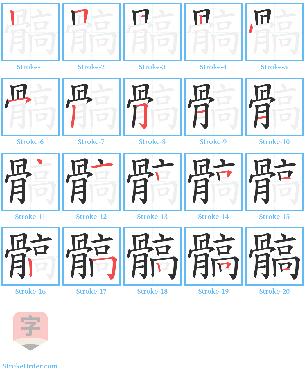 髇 Stroke Order Diagrams