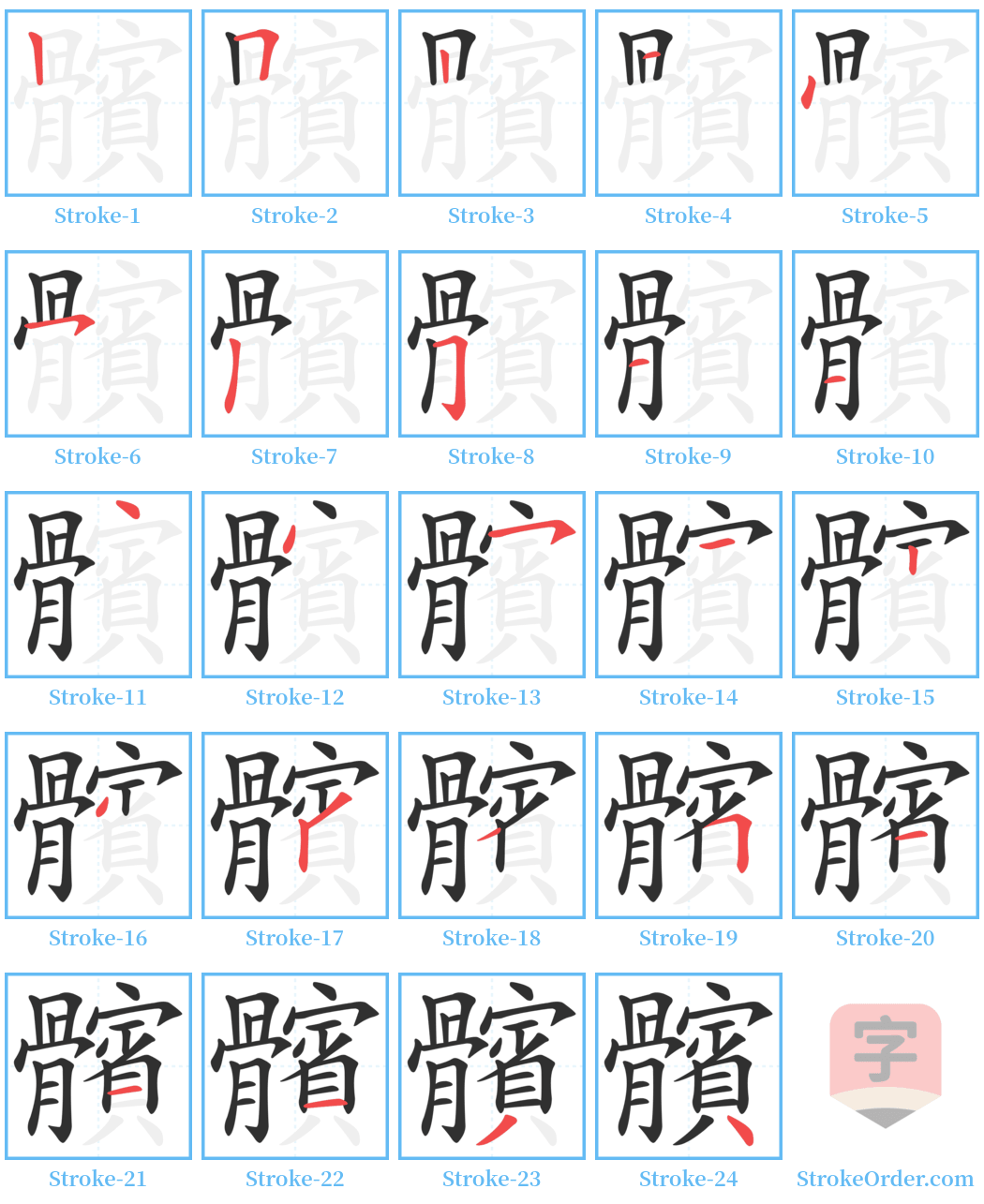 髕 Stroke Order Diagrams