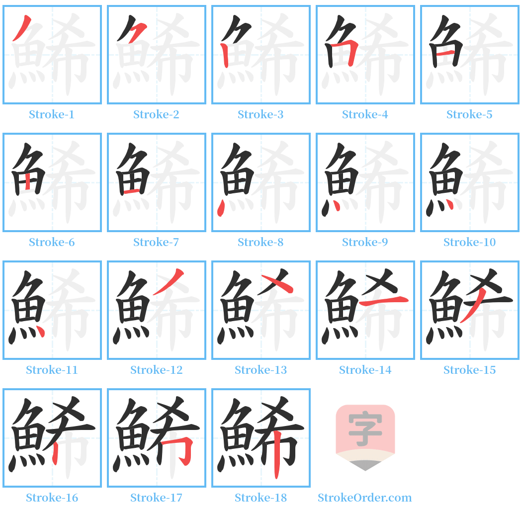 鯑 Stroke Order Diagrams