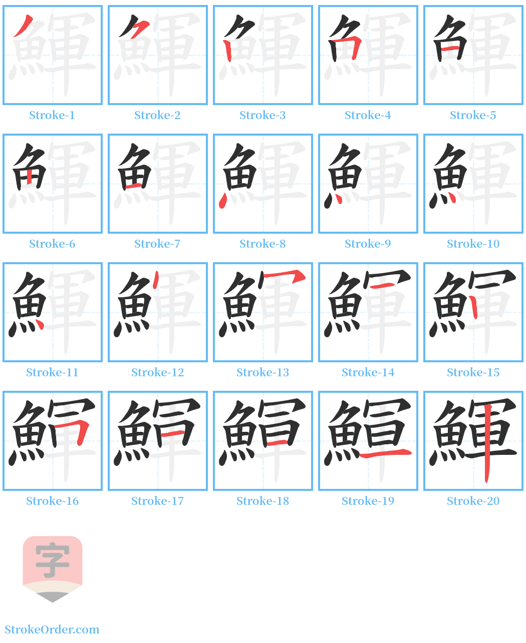 鯶 Stroke Order Diagrams