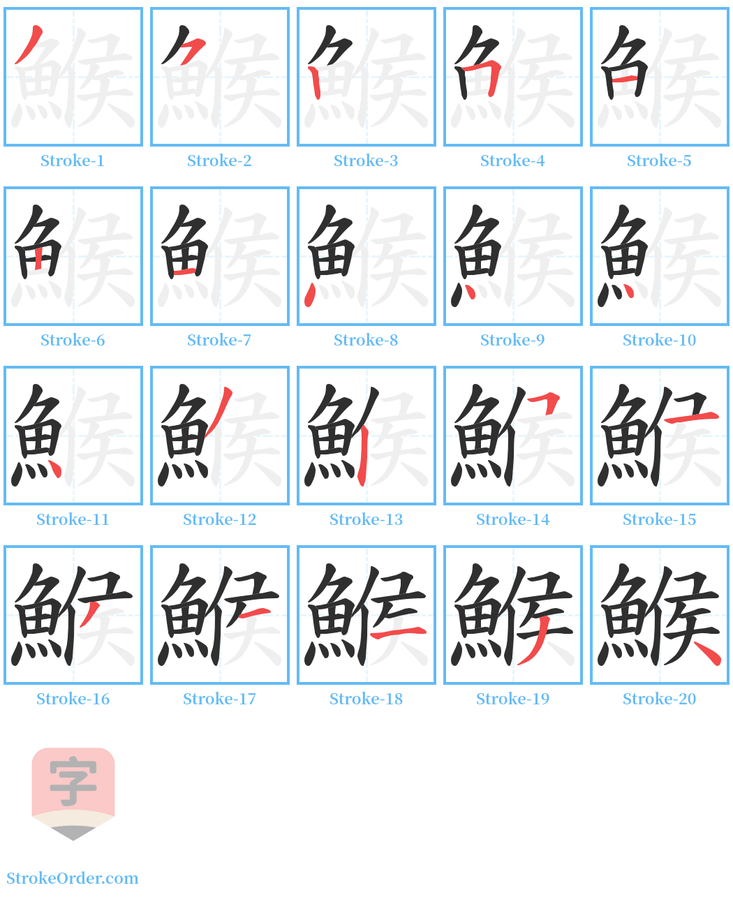 鯸 Stroke Order Diagrams