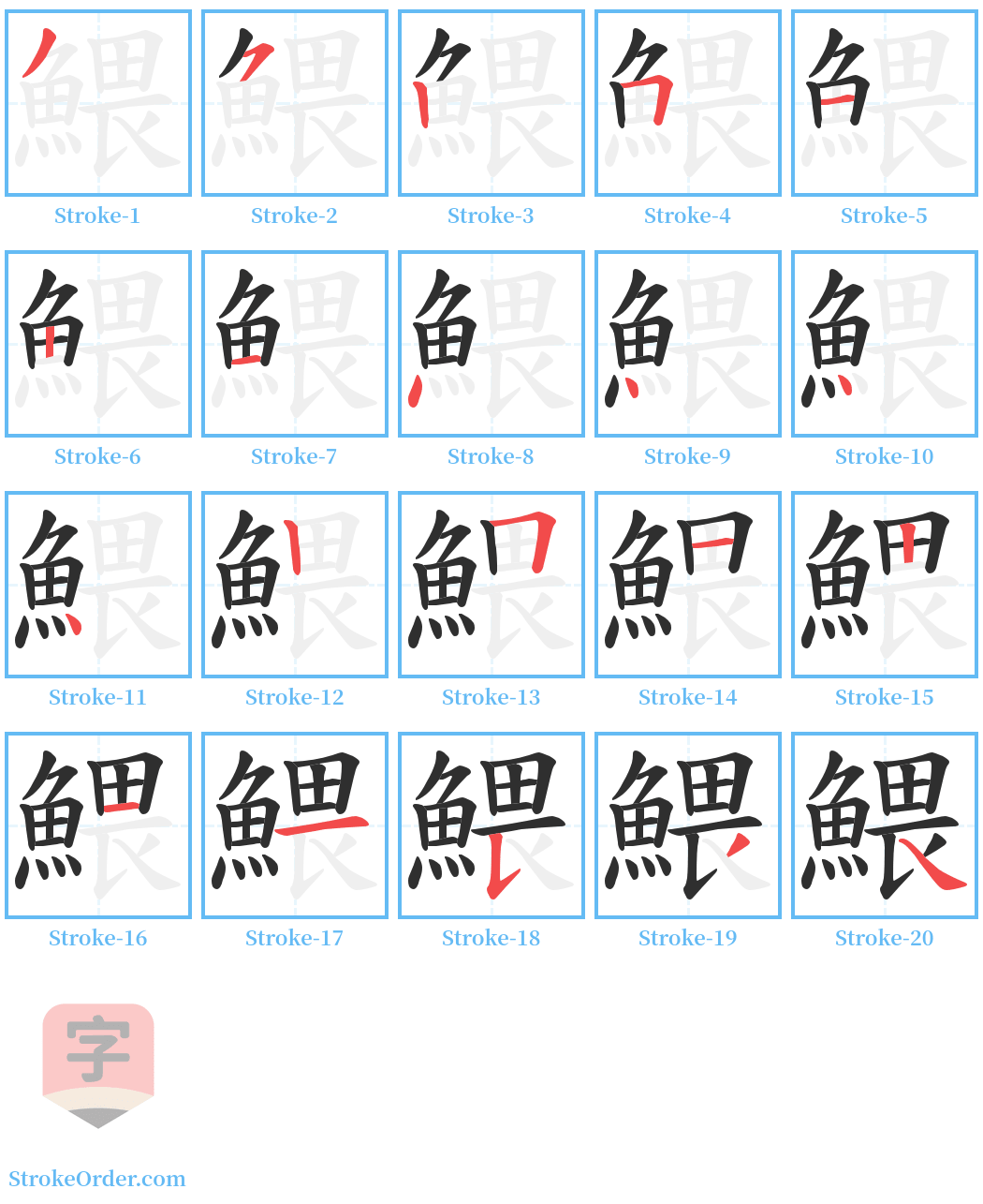 鰃 Stroke Order Diagrams