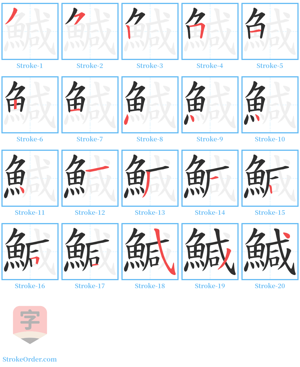 鰔 Stroke Order Diagrams