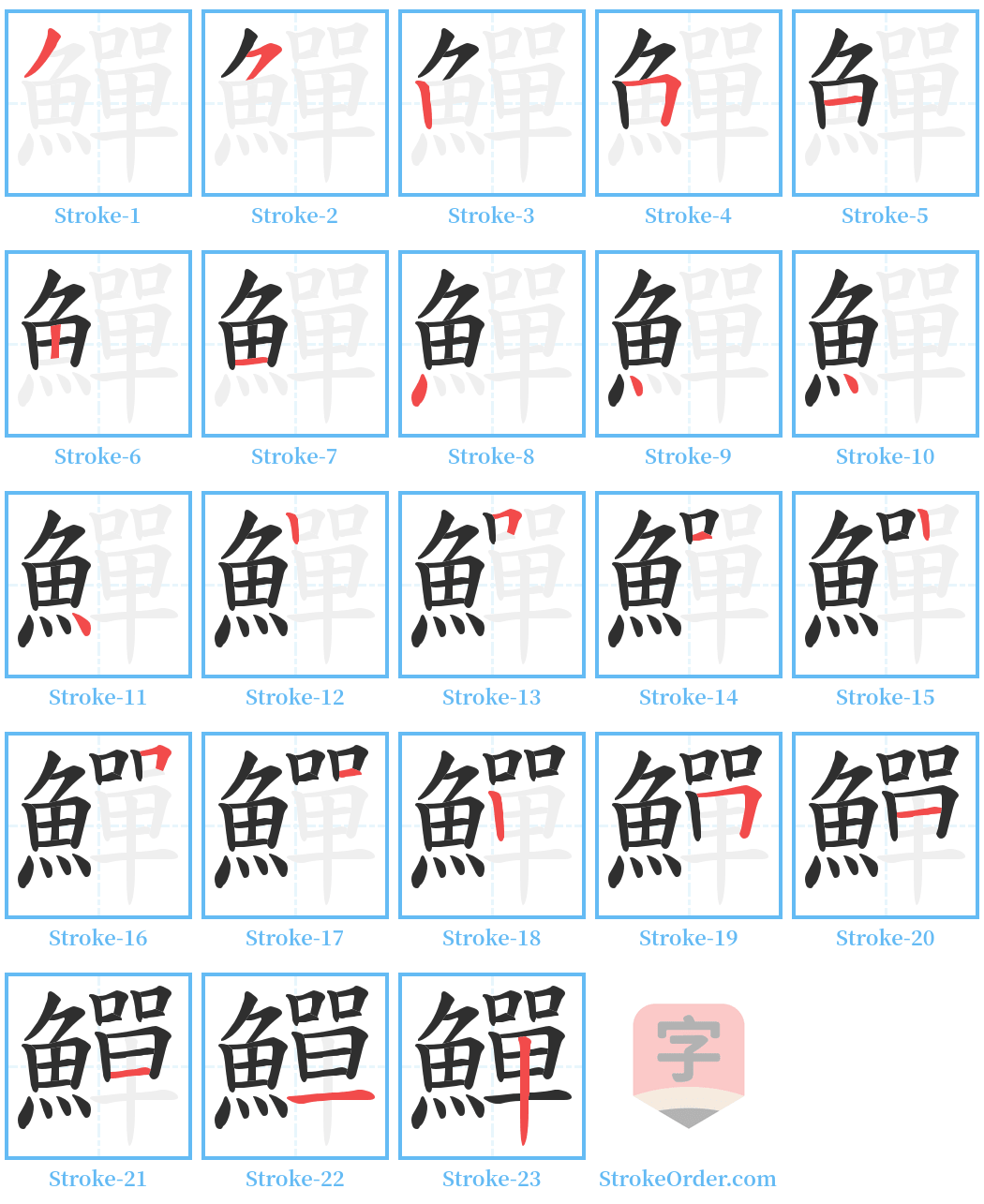 鱓 Stroke Order Diagrams