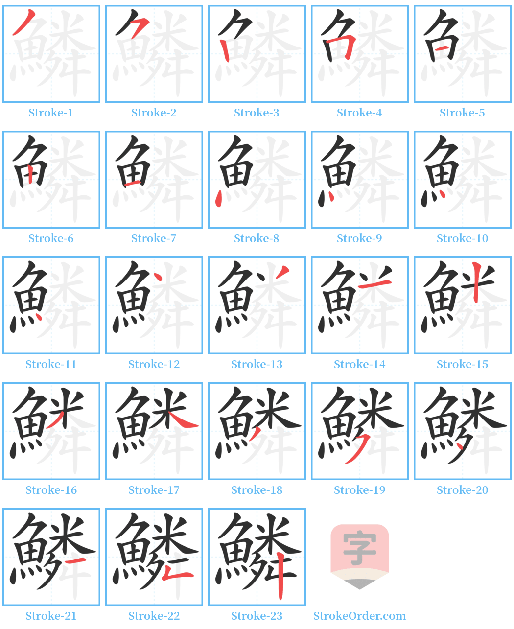 鱗 Stroke Order Diagrams