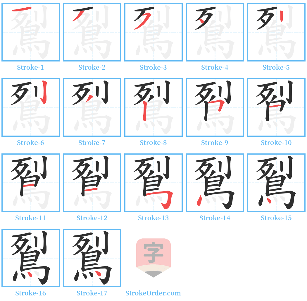 鴷 Stroke Order Diagrams