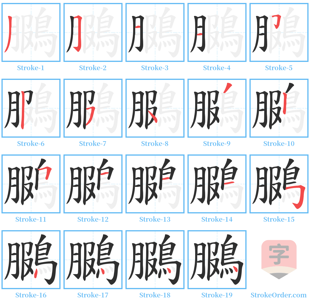 鵩 Stroke Order Diagrams