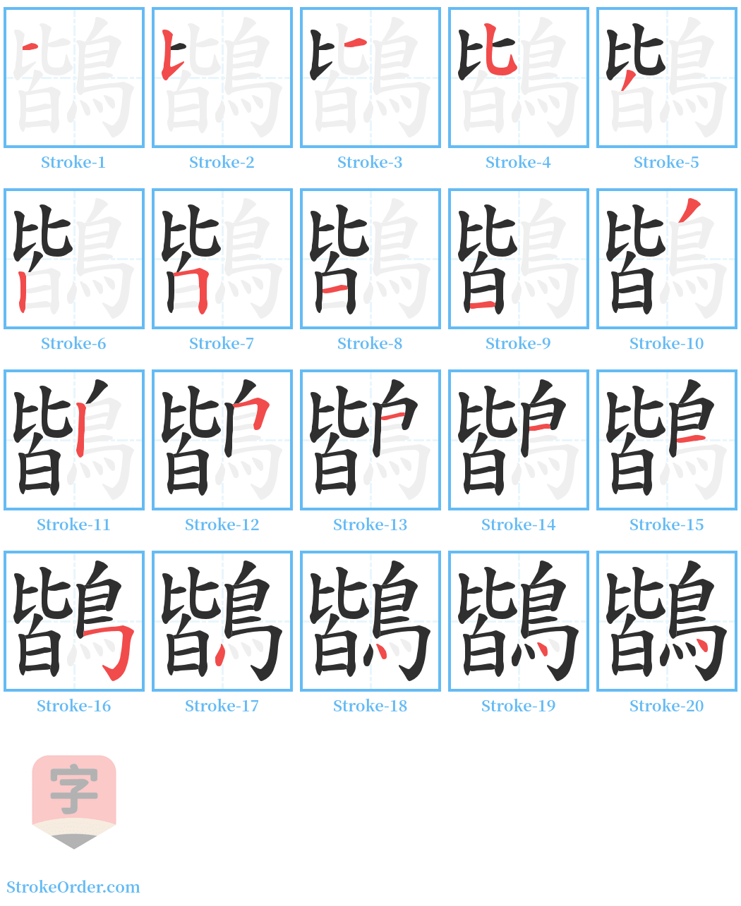 鶛 Stroke Order Diagrams