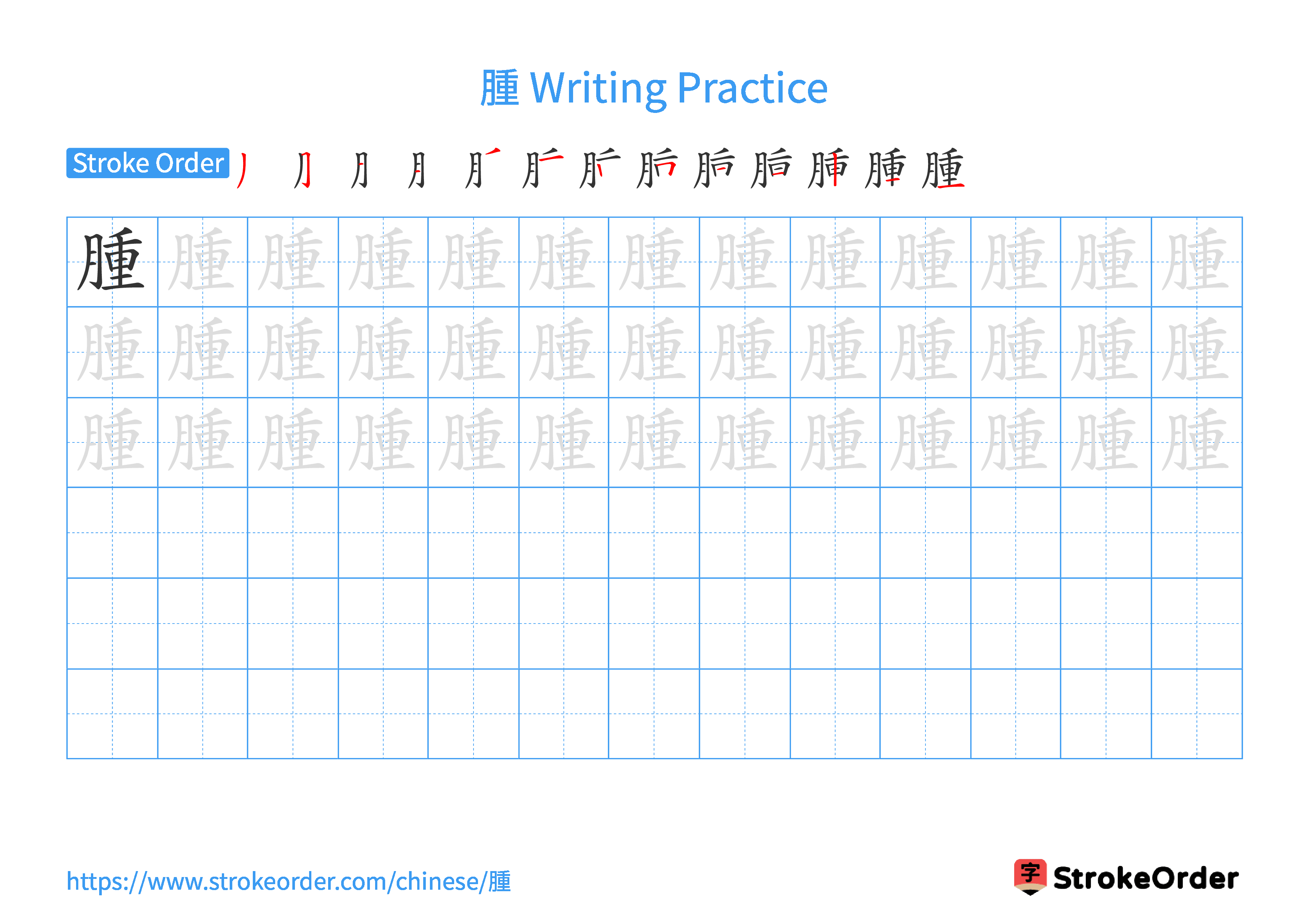 Printable Handwriting Practice Worksheet of the Chinese character 腫 in Landscape Orientation (Tian Zi Ge)